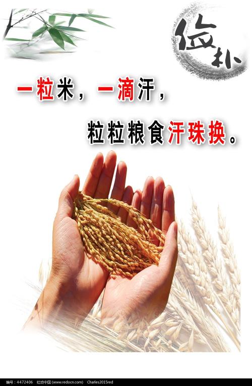 里昂大学设计学位证